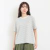 ［DANTON］ストライプショート丈半袖Tシャツ