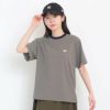 ［DANTON］ストライプロゴTシャツ